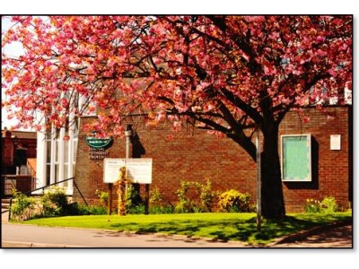 Calling all local artists!