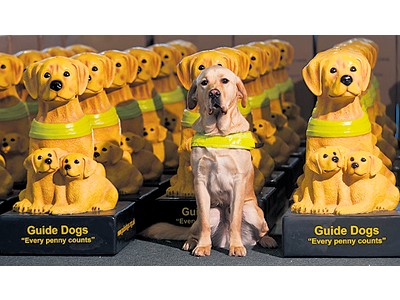 Coordinate our Collecting Boxes