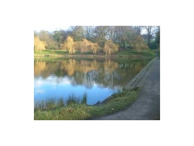 Help bring the local community together, whilst keeping fit.