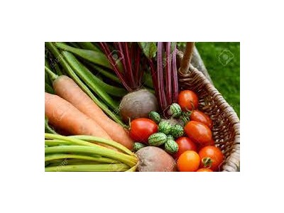 Our allotment needs a lead gardener!