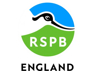 Help endangered wildlife locally – join our Swift Champions