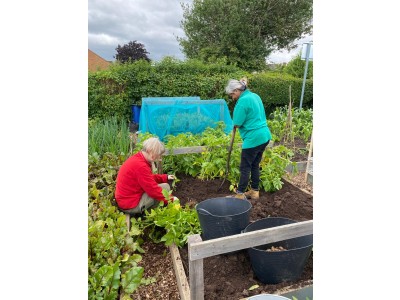 Learn how to grow delicious food at our beautiful community allotment